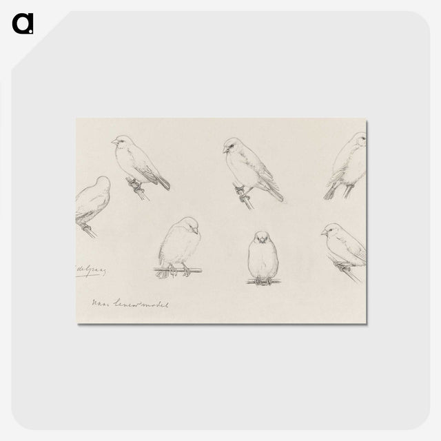 1-59_Julie-de-Graag_postcard