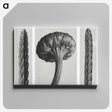 1-59_Karl-Blossfeldt_canvas