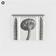 1-59_Karl-Blossfeldt_memo