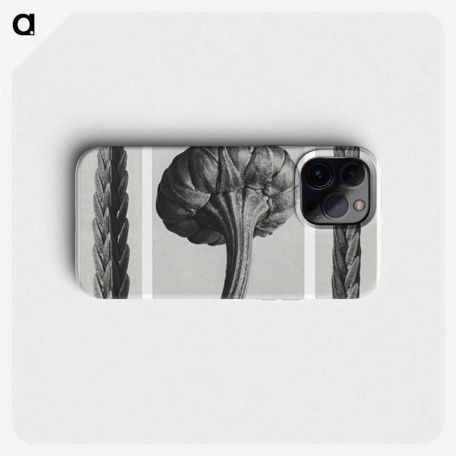 1-59_Karl-Blossfeldt_phone