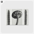 1-59_Karl-Blossfeldt_postcard