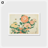 アートポストカード-Chrysanthemums and Horsefly - 葛飾 北斎 Postcard.