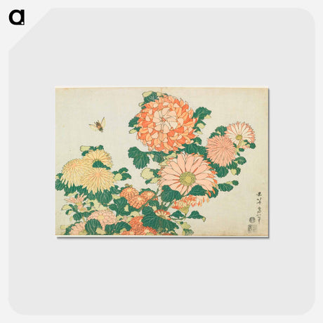 アートポストカード-Chrysanthemums and Horsefly - 葛飾 北斎 Postcard.