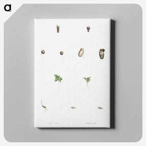 1-59_La-Botanique_canvas