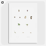 1-59_La-Botanique_picture