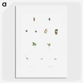 1-59_La-Botanique_picture