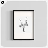 1-59_Les-Palmiers-Histoire-Iconographique_blk