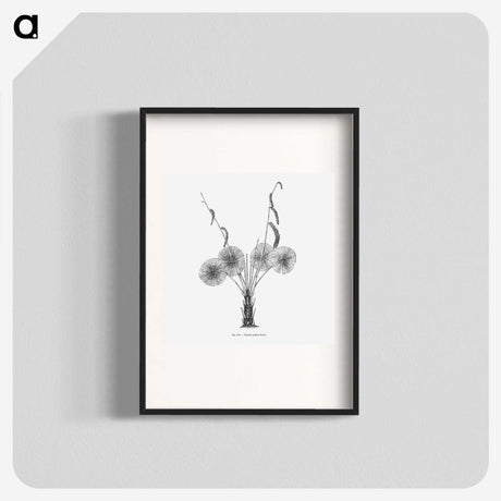 1-59_Les-Palmiers-Histoire-Iconographique_blk