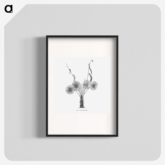1-59_Les-Palmiers-Histoire-Iconographique_blk