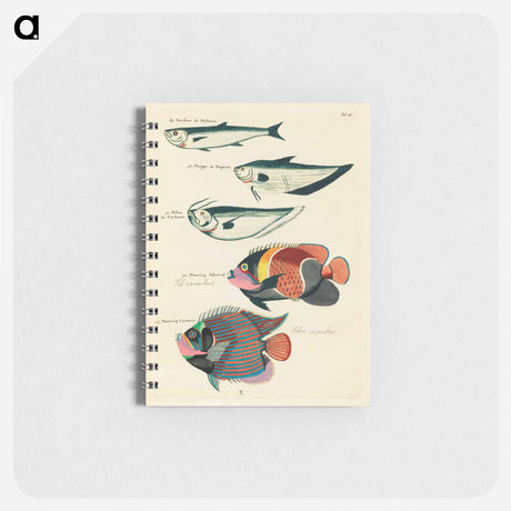 アートメモ帳-Moluccan Fishes
 - ルイ ルナール Memo.