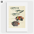1-59_Louis-Renard_picture