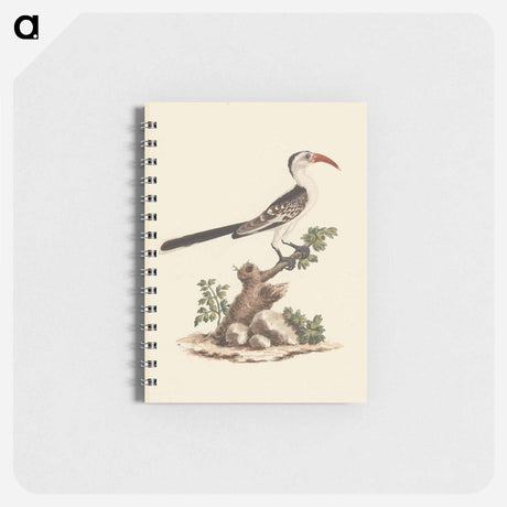 アートメモ帳-Tockus Jacksoni
 - ルイージ バルガーニ Memo.