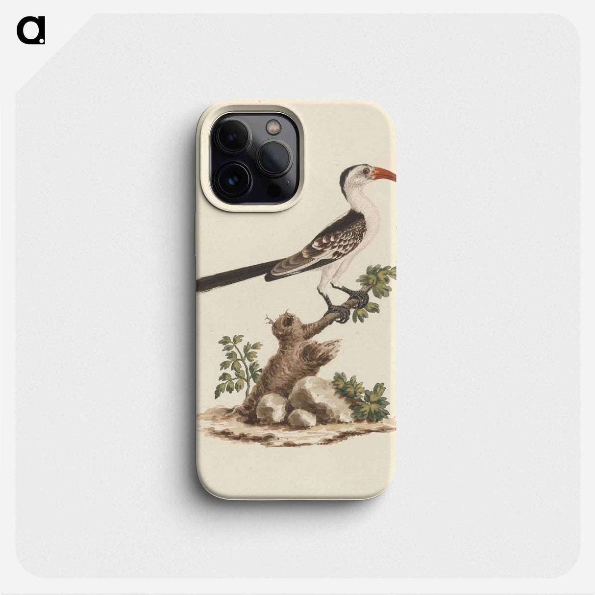 Tockus Jacksoni
 - ルイージ バルガーニ Phone Case.