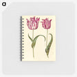 1-59_Maria-Sibylla-Merian_memo