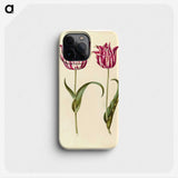 1-59_Maria-Sibylla-Merian_phone