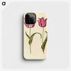 1-59_Maria-Sibylla-Merian_phone