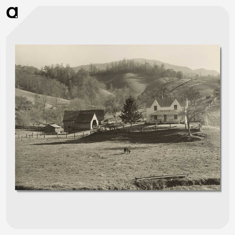 1-59_Marion-Post-Wolcott_picture-crop