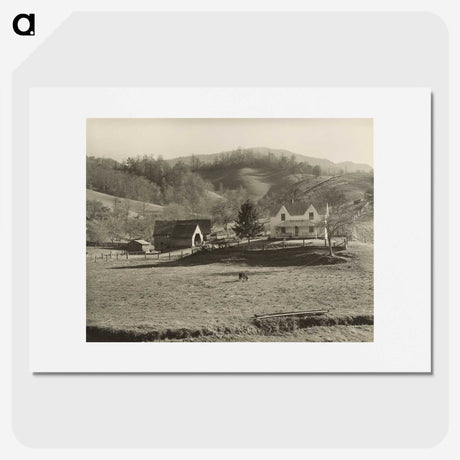1-59_Marion-Post-Wolcott_picture