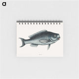 1-59_Mark-Catesby_memo