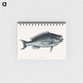 1-59_Mark-Catesby_memo