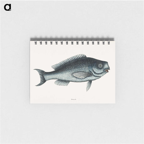 1-59_Mark-Catesby_memo