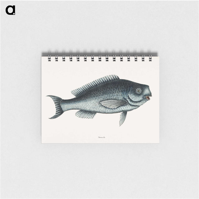 1-59_Mark-Catesby_memo