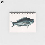 アートメモ帳-Blue Fish
 - マーク ケイツビー Memo.