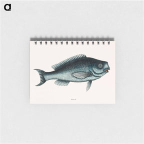 アートメモ帳-Blue Fish
 - マーク ケイツビー Memo.