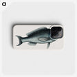 1-59_Mark-Catesby_phone
