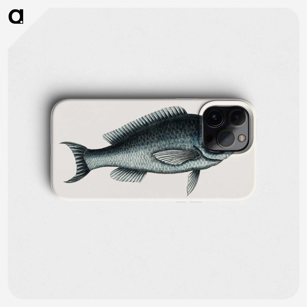 1-59_Mark-Catesby_phone