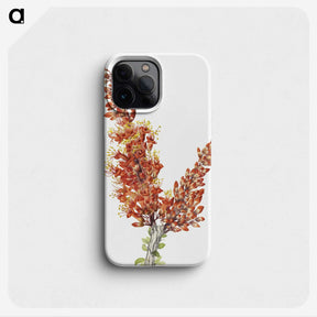 1-59_Mary-Vaux-Walcott_phone