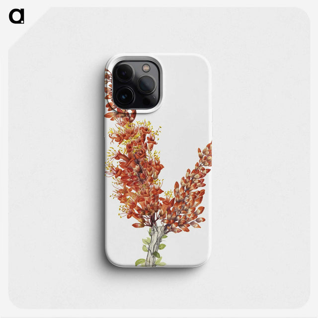1-59_Mary-Vaux-Walcott_phone
