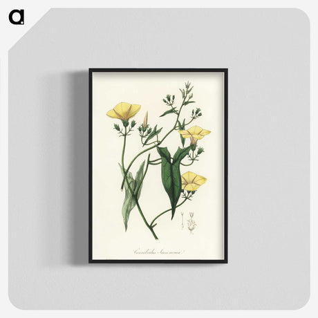 1-59_Medical-Botany_blk-crop