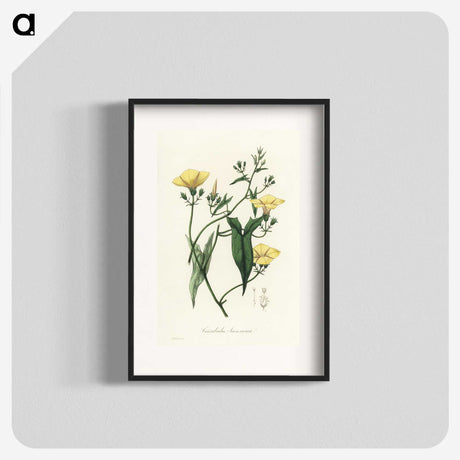 1-59_Medical-Botany_blk