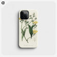 1-59_Medical-Botany_phone
