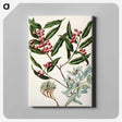 1-59_Native-Flowering-Plants-of-New-Zealand_canvas