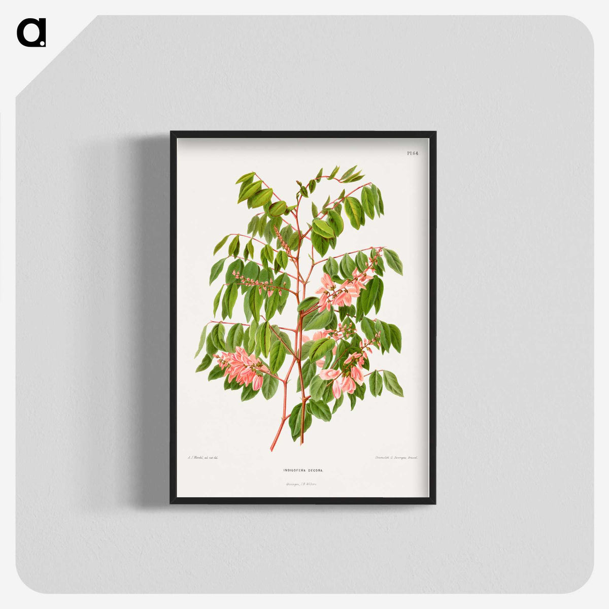 1-59_Nederlandsche-Flora-en-Pomona_blk-crop