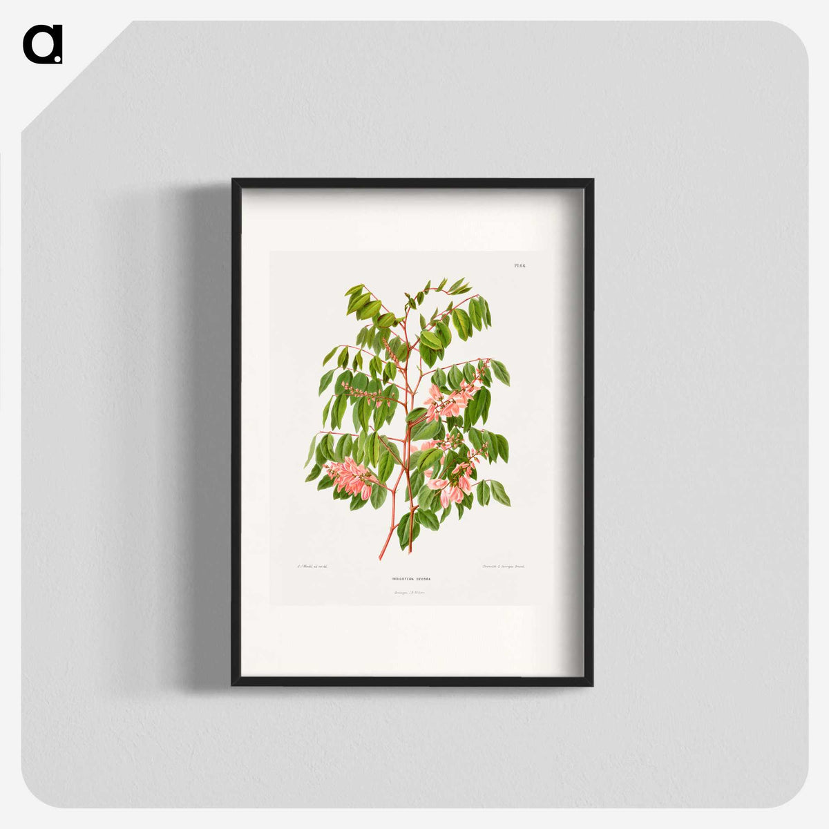1-59_Nederlandsche-Flora-en-Pomona_blk