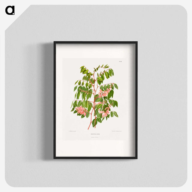 1-59_Nederlandsche-Flora-en-Pomona_blk