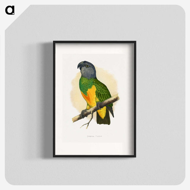 1-59_Parrots-in-Captivity_blk