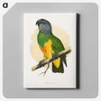 1-59_Parrots-in-Captivity_canvas