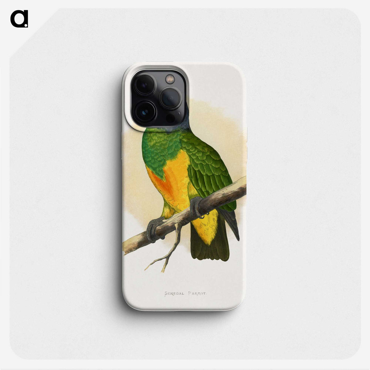 1-59_Parrots-in-Captivity_phone
