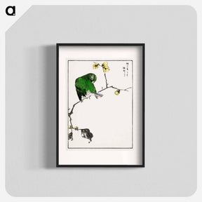 アートポスター-Fairy Pitta and Japanese Allspice
 - 鳥類図鑑 Poster.