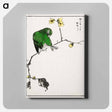 アートパネル-Fairy Pitta and Japanese Allspice
 - 鳥類図鑑 Canvas.