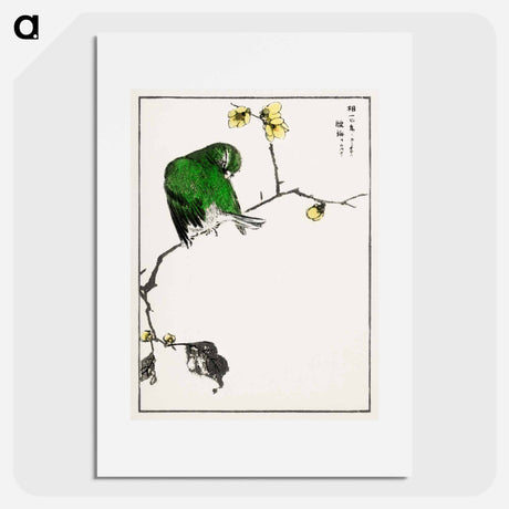 アートポスター-Fairy Pitta and Japanese Allspice
 - 鳥類図鑑 Poster.