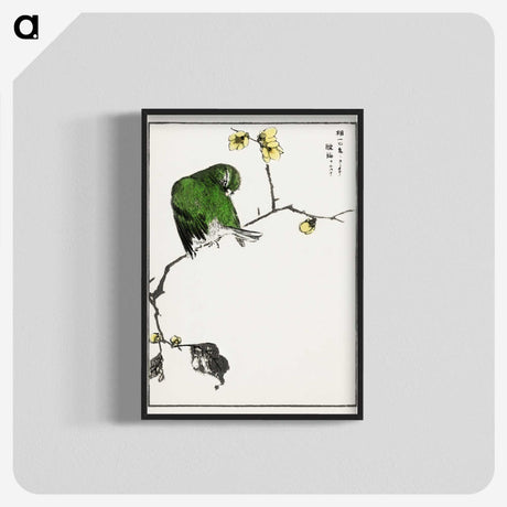 1-59_Pictorial-Monograph-of-Birds_blk-crop