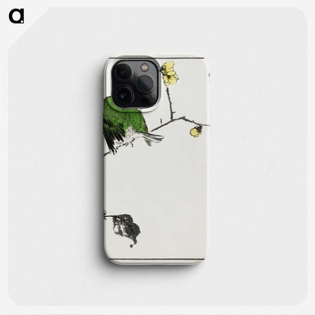 1-59_Pictorial-Monograph-of-Birds_phone
