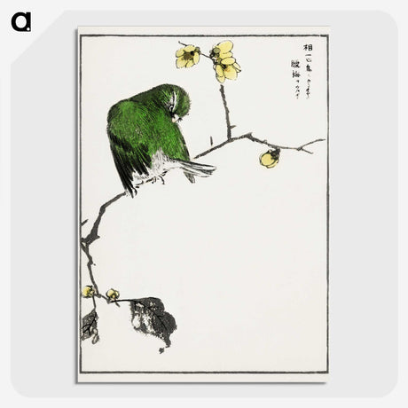 1-59_Pictorial-Monograph-of-Birds_picture-crop