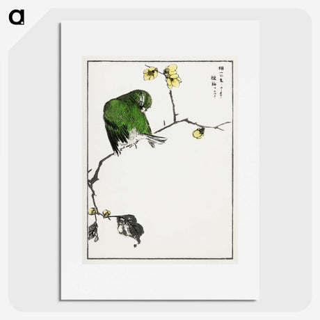 1-59_Pictorial-Monograph-of-Birds_picture