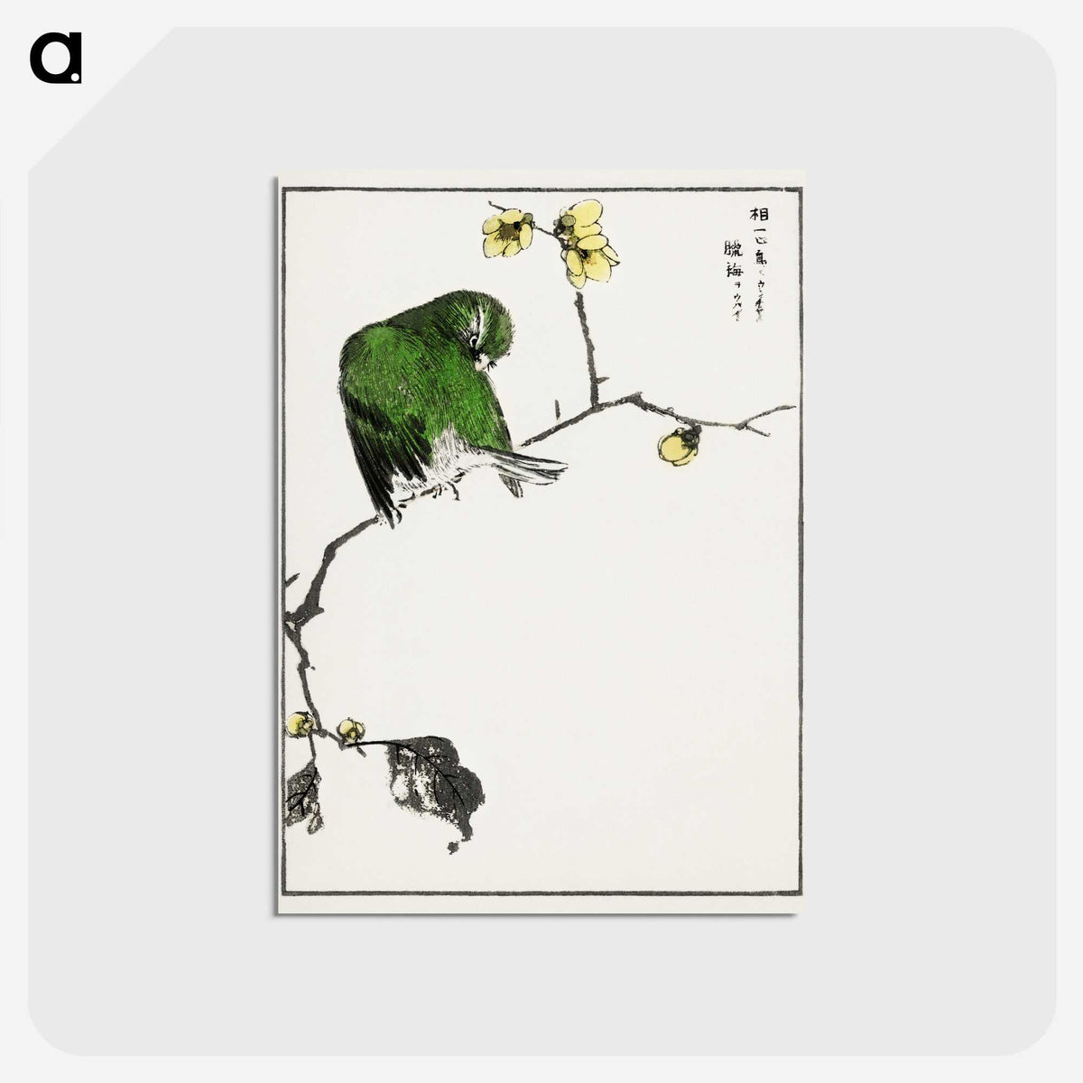 1-59_Pictorial-Monograph-of-Birds_postcard
